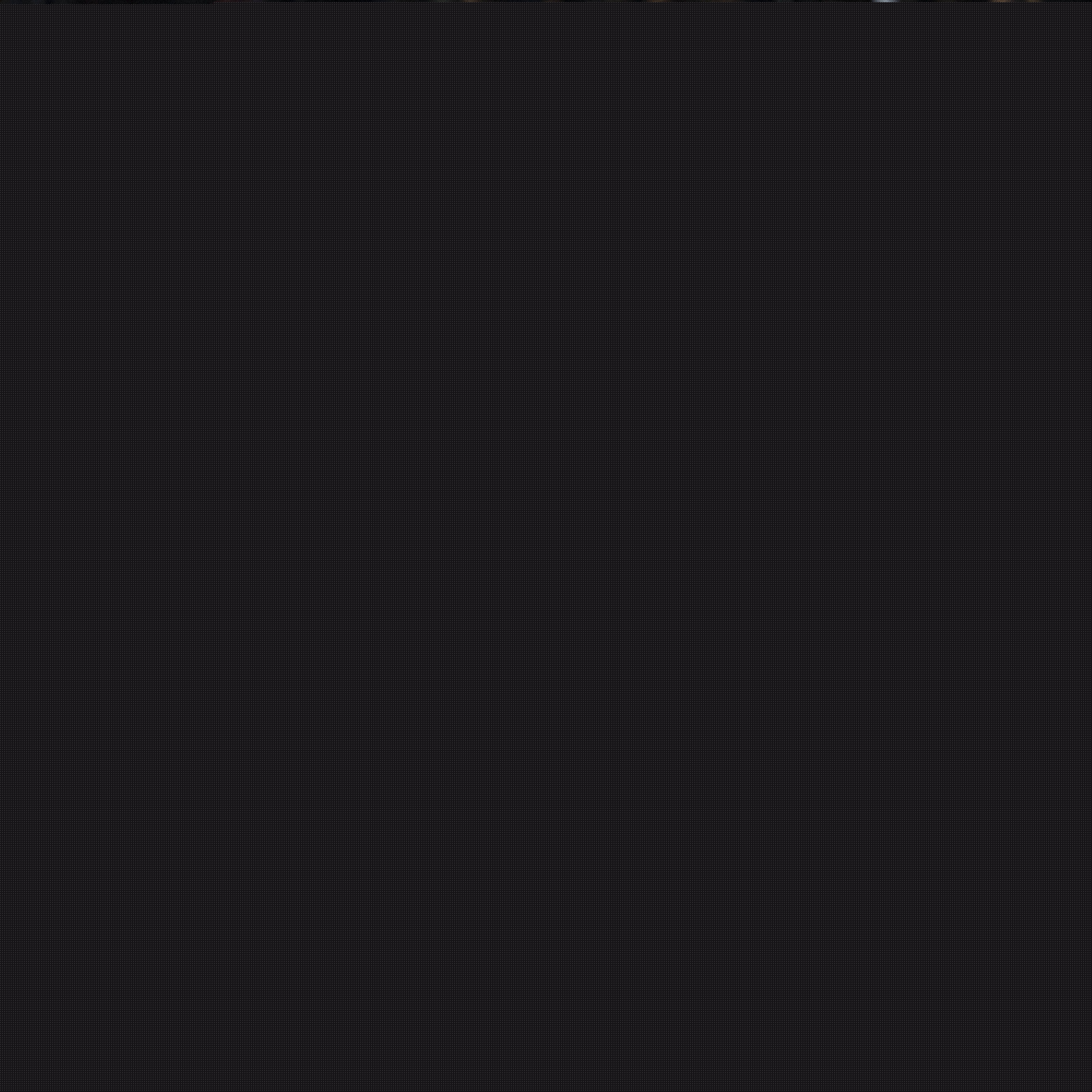 和教练组需